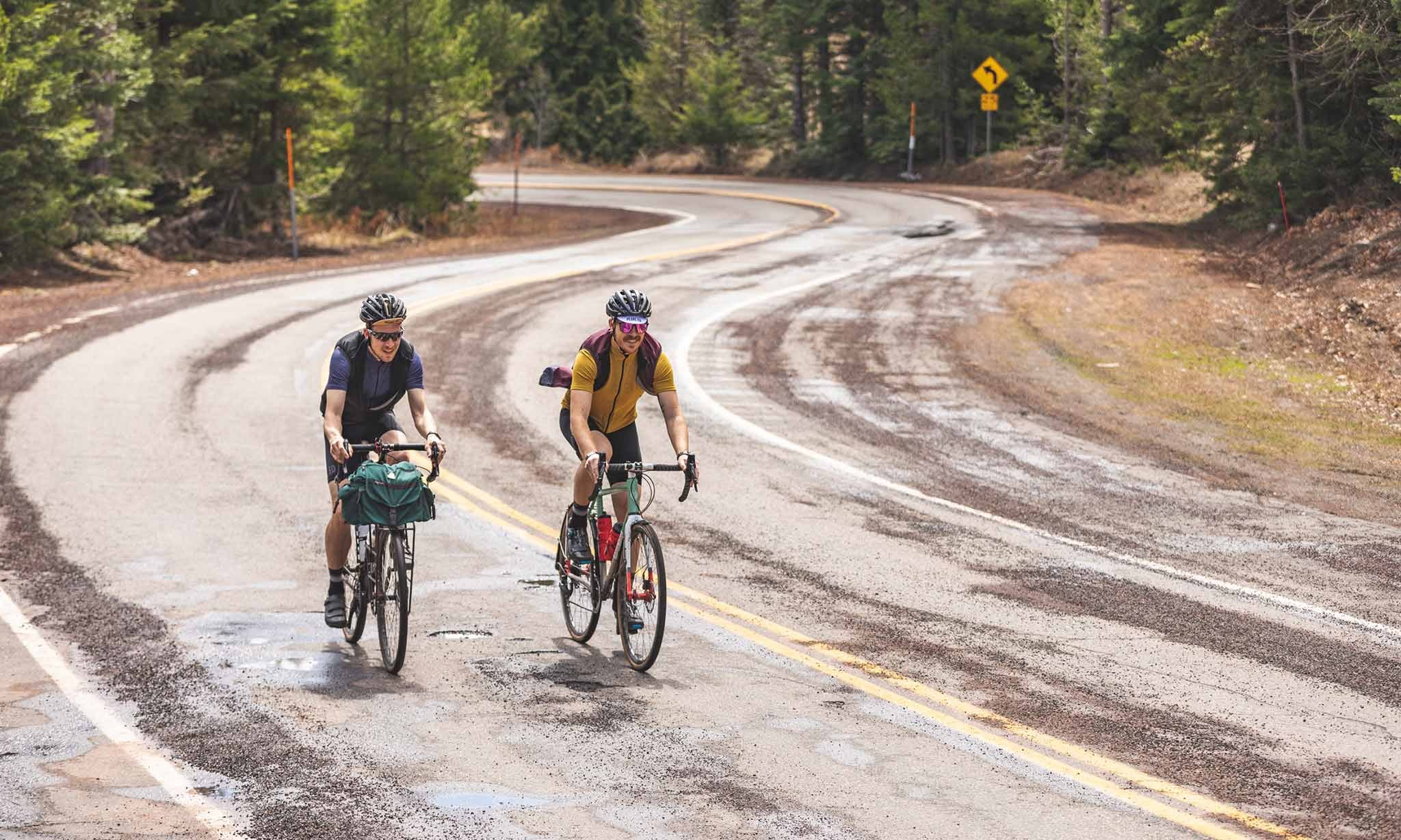 PEdAL ED Kaido Trøje, Sennep