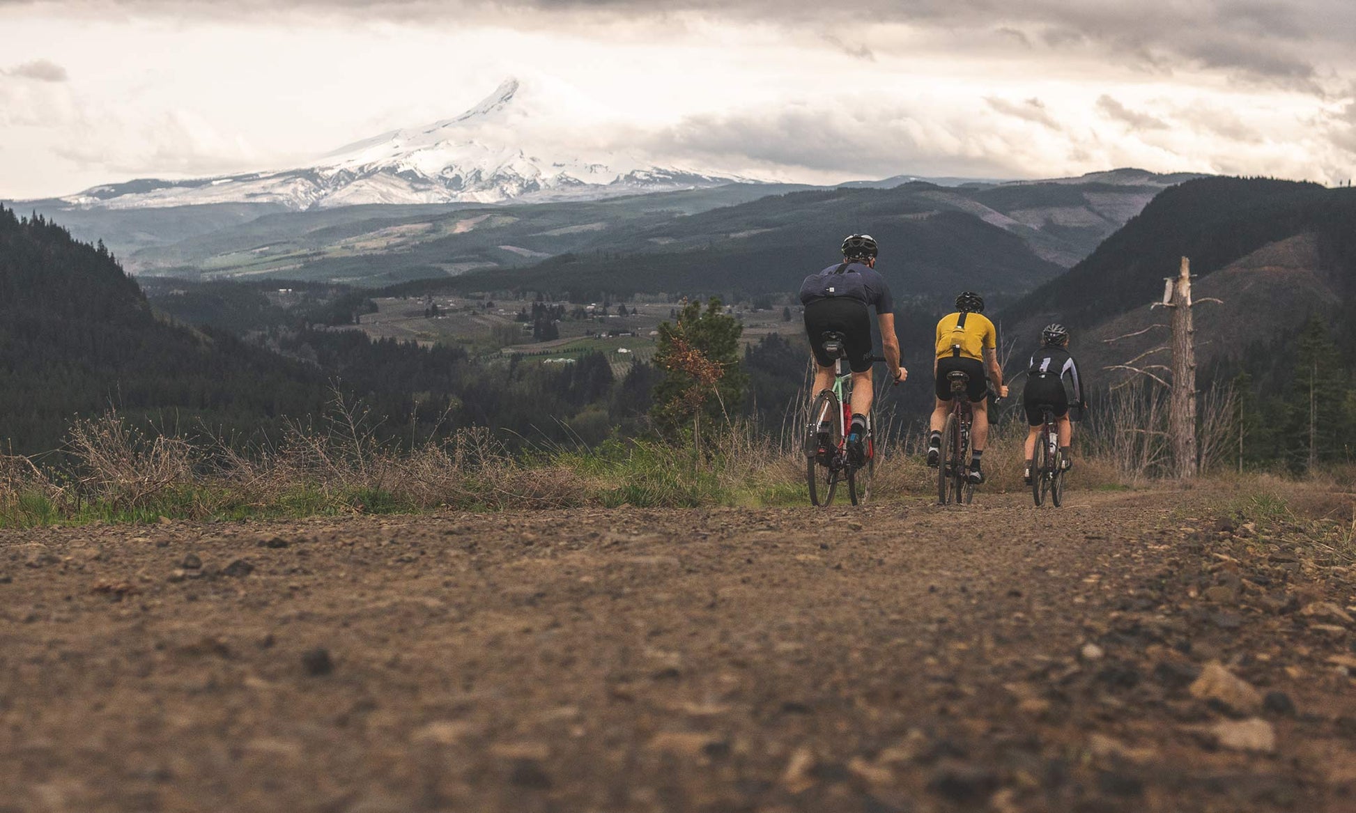 PEdAL ED Kaido Trøje, Sennep
