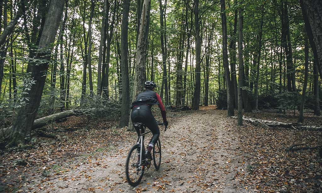 PEdAL ED Team Vinter Tights