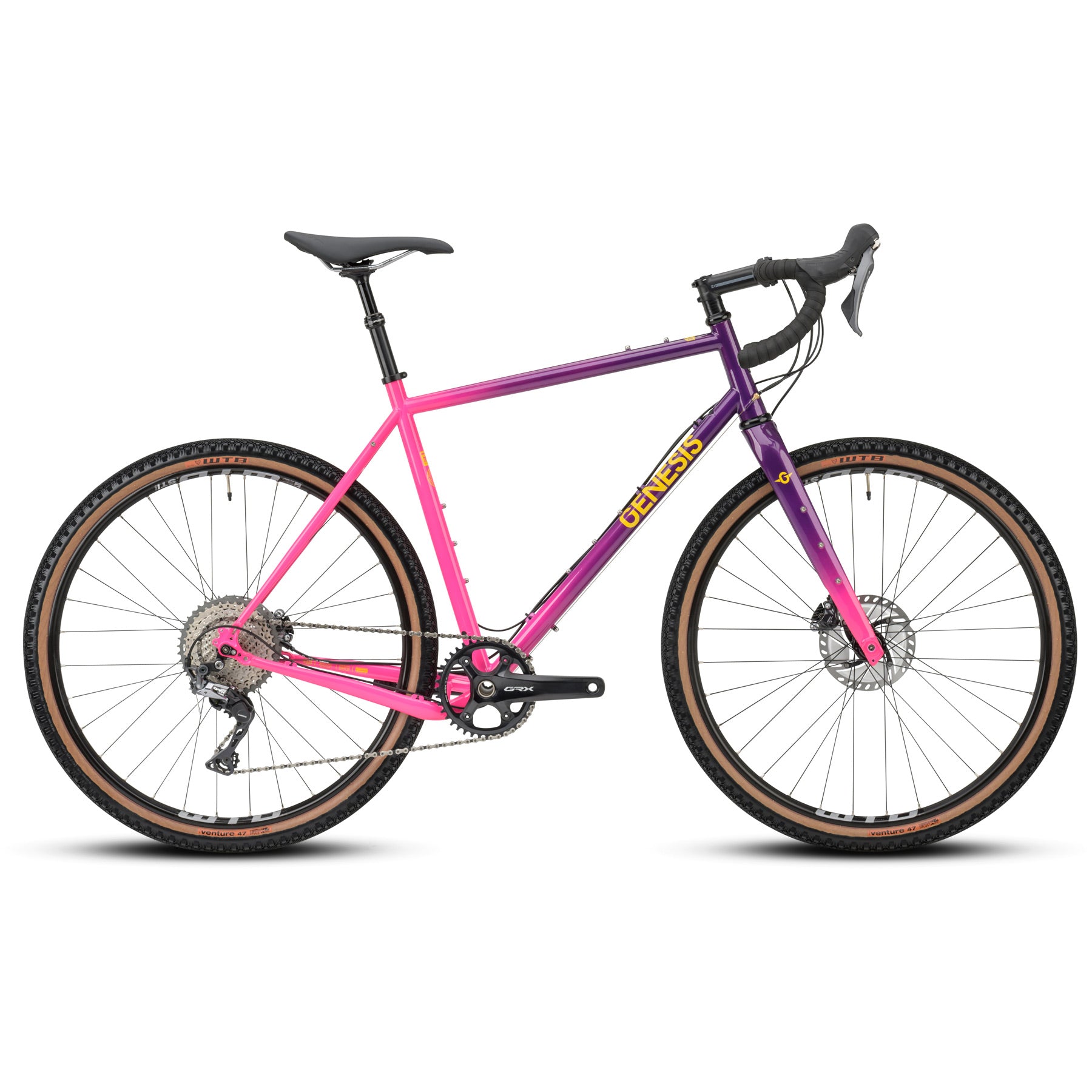 Genesis Fugio 30 - 2021 Large