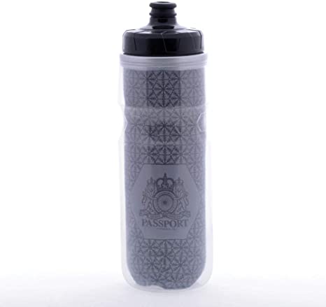 Passport Frostbright Isoleret Reflekterende Vandflaske 550ml