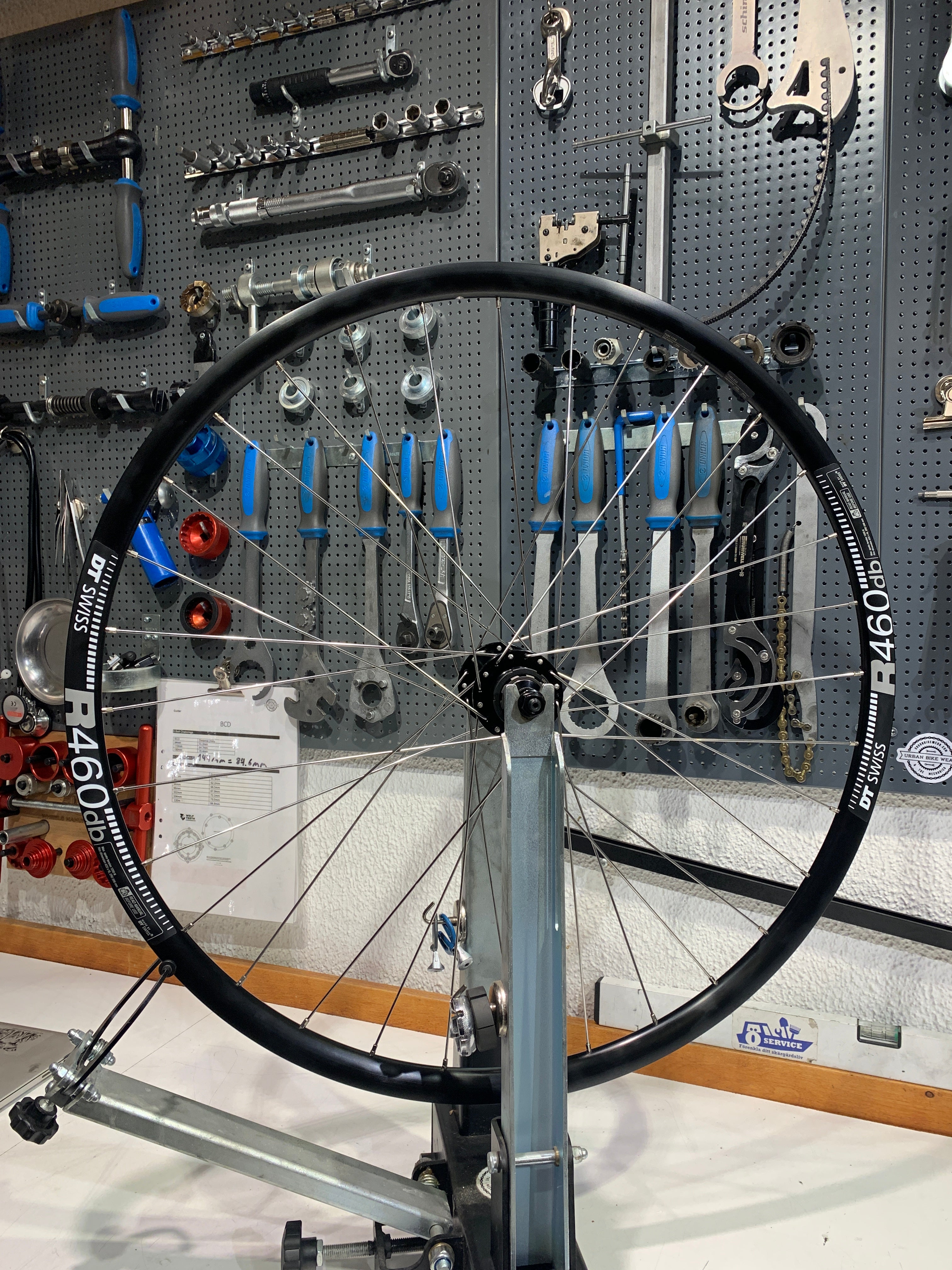 Singlespeed baghjul (UBW Custom Wheel) Halo Ridgeline / DT Swiss R 460 DB 135 OLD