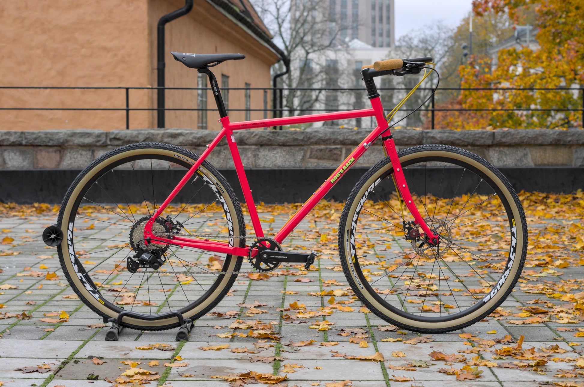 Bassi Hog's Back (L) Custom ATB Cykel