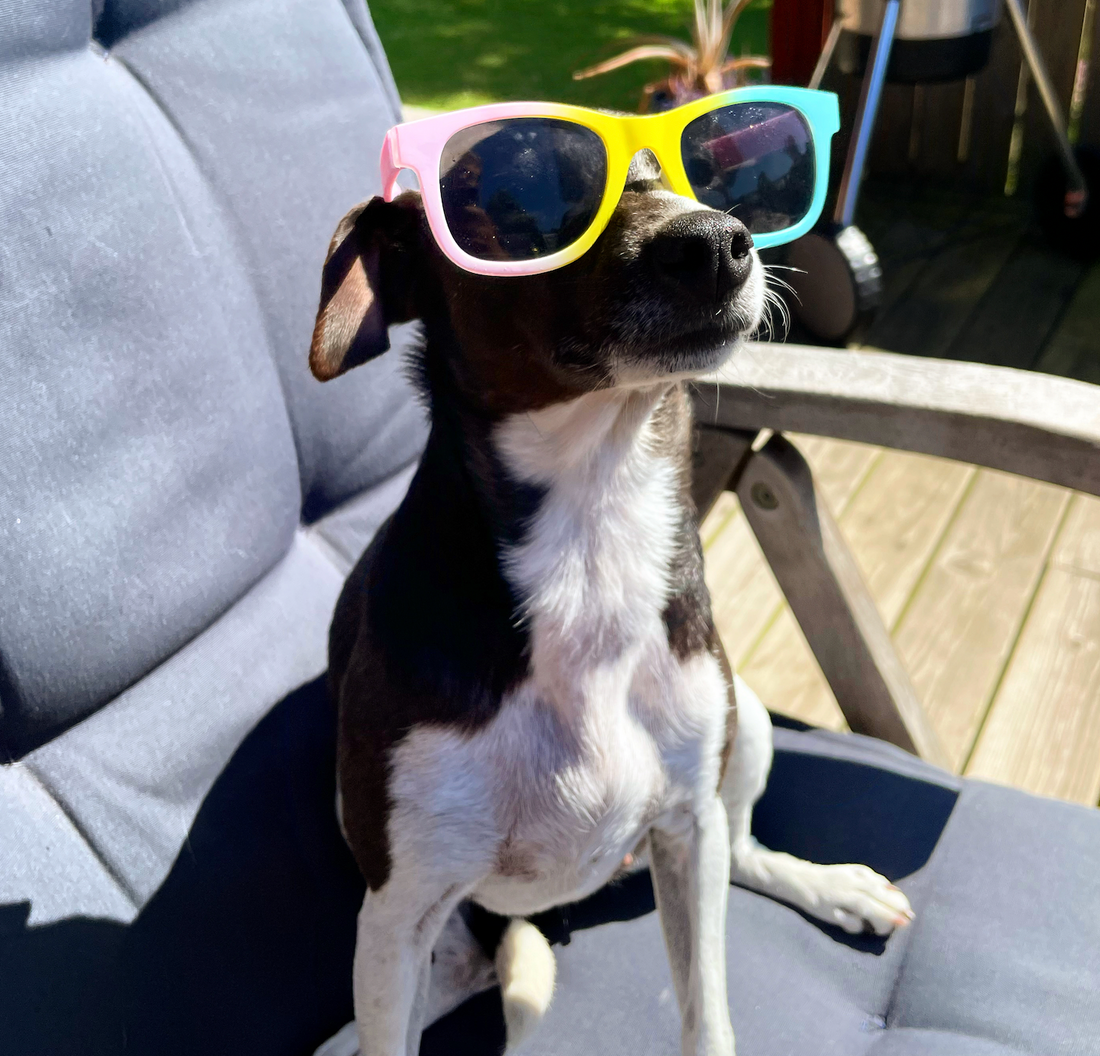 Fixie, The Mood Manager